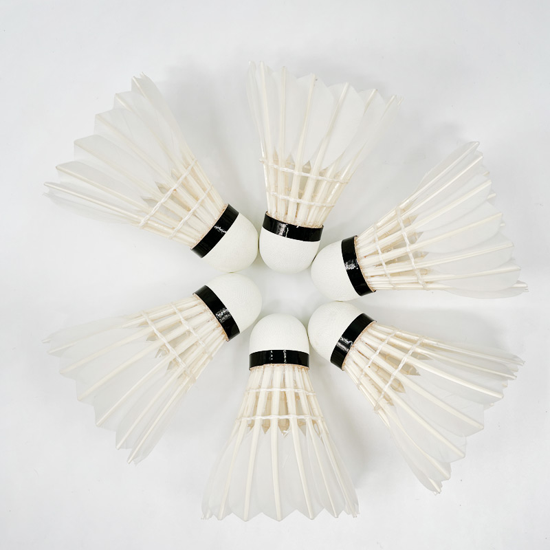 G8 Goose Feather Traditional B - Badminton Championship recensione e prezzo