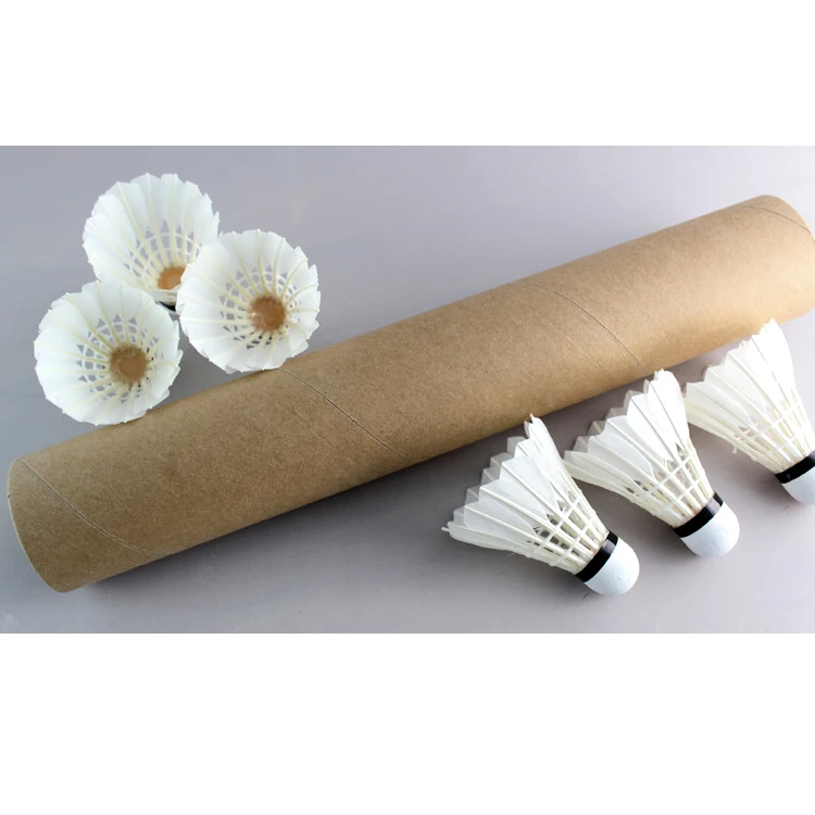 Custom Logo Goose Feather Club - Badminton Club Logo recensione e prezzo