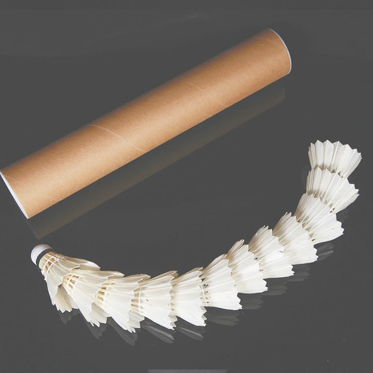 Custom Logo Goose Feather Club - Badminton Club Logo recensione e prezzo