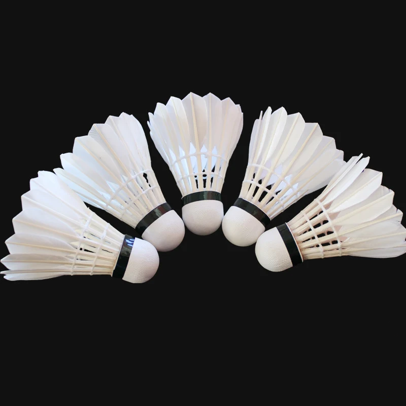 Custom Logo Goose Feather Club - Badminton Club Logo recensione e prezzo
