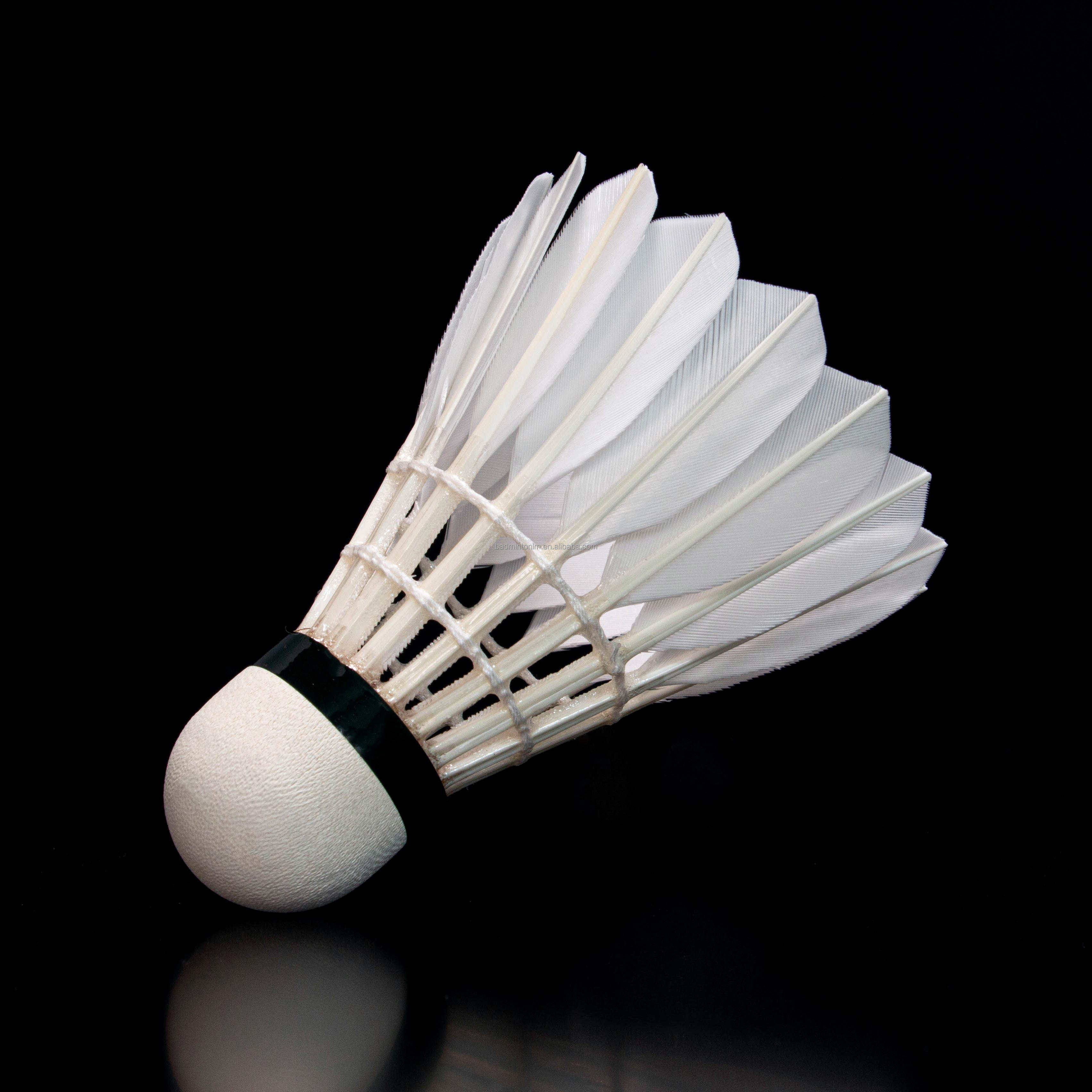 90PRO for EG1130 Grade A Goose - Badminton Championship recensione e prezzo