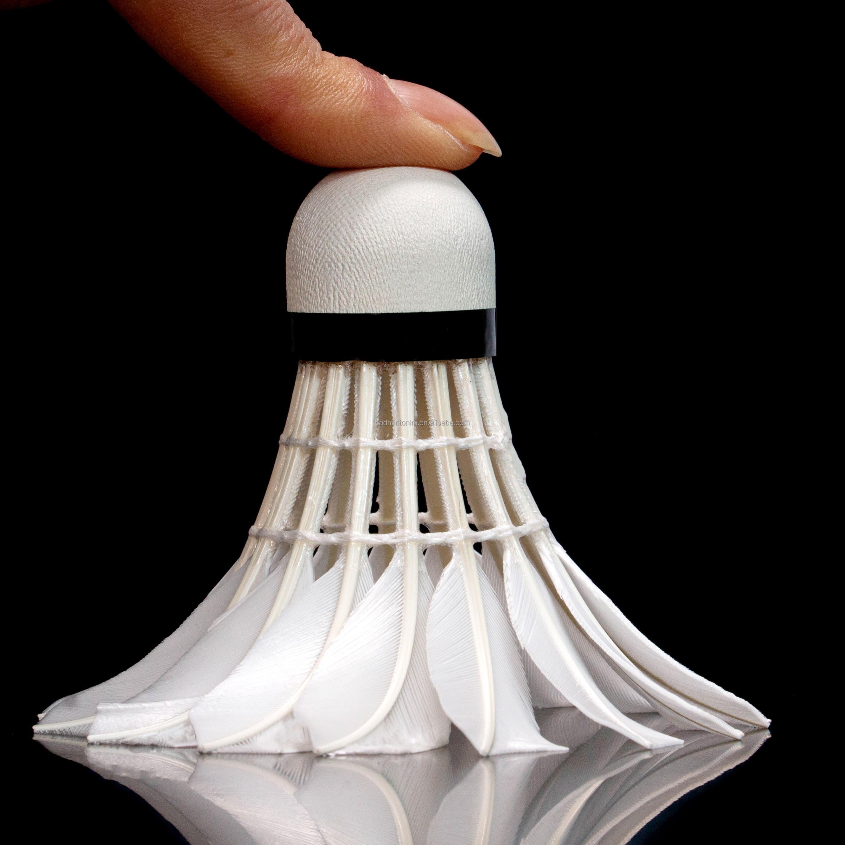 90PRO for EG1130 Grade A Goose - Badminton Championship recensione e prezzo